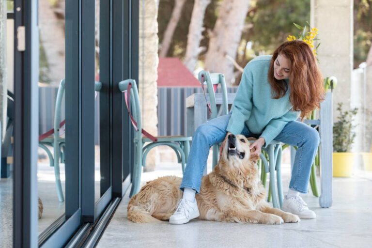 uae pet industry report